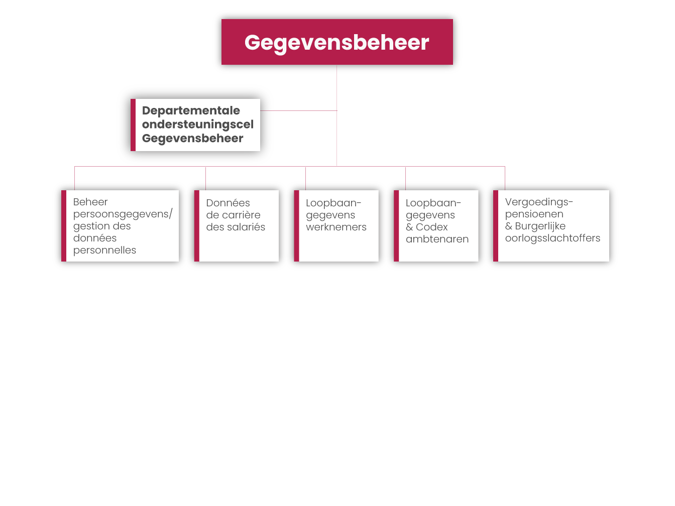 afbeelding organigram departement Gegevensbeheer